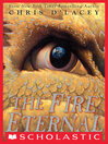 Cover image for The Fire Eternal